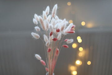 Rabbit bunny tales grass lagurus. beautiful fluffy pink bouquet and sun shadows on a beige background. floral minimal composition