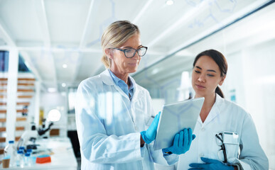 Women, scientist and discussion with tablet by glass, reading and review with results at pharma...