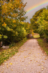 view of autumnal forest in Trentino Alto Adige