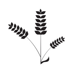 Wheat icon. Wheat and Rice icon. wheat with ears icon. vector illustration.
