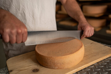 Alles über Käse, Käseherstellung und kreative Käseplatten