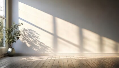 Clean white wall with soft natural morning light.