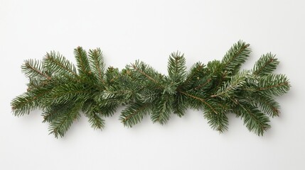 A long, straight Christmas garland of fir branches against a white background, highlighting the natural textures and holiday atmosphere