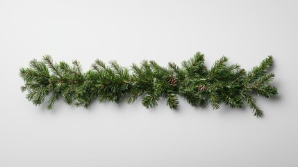 A long, straight Christmas garland of fir branches against a white background, highlighting the natural textures and holiday atmosphere
