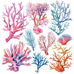 Coral Illustration. Underwater Coral Reef Life in Tropical Seas