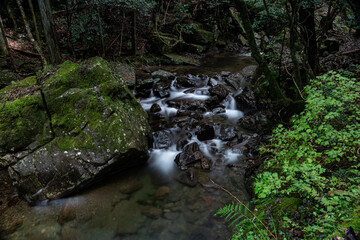 森を流れる美しい川の流れ