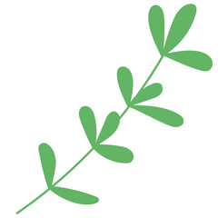 herb green leaf icon. cooking ingredient