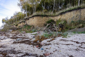Steep coast of the island of Poel, marked by the tides of the Baltic Sea