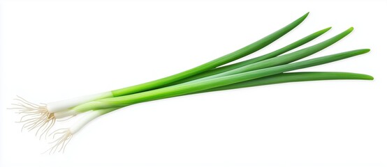 Fototapeta premium Fresh green onions arranged on a clean white background showcasing their crisp texture