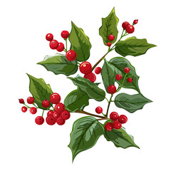 Simple flat 2D icon Christmas holly berry branch isolated on transparent background, vector, flat design, animation design, vector, flat design, animation design, simple flat 2D icon, clipart