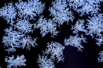 Beautiful nature shot, natural wallpaper, "tribal" ice formations on a glass plate created by the harsh winter cold