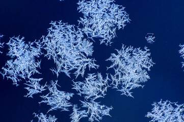 Beautiful nature shot, natural wallpaper, "tribal" ice formations on a glass plate created by the harsh winter cold