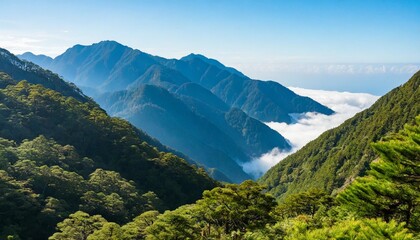 The Scenic Alishan Mountain Range in Central Taiwan, Famous for Its Misty Forests, Sunrise Views, and Ancient Cypress Trees, a Popular Spot for Hikers and Nature Lovers