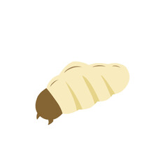 Maggot vector 