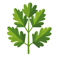 Simple flat 2D icon celery isolated on transparent background, vector, flat design, animation design, vector, flat design, animation design, simple flat 2D icon, minimalist design, clipart