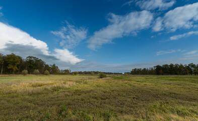 Fototapeta premium A large field with a blue sky and a few clouds