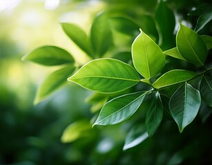 Vibrant green leaves create a fresh, natural setting, bathed in sunlight
