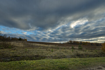 A field with a cloudy sky in the background