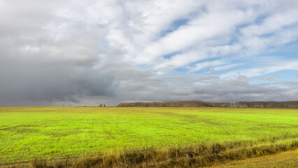 A field of grass with a cloudy sky in the background