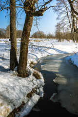 Fototapeta premium A snowy landscape with a small stream of water
