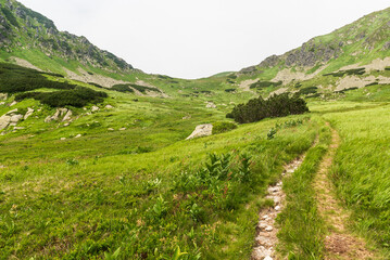 Zavory mountain pass from higher part of Kobylia dolina valley in Western Tatras mountains in Slovakia © honza28683