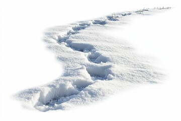 Obraz premium Footprints in fresh snow.