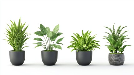 Realistic Collection of Green Plants in Pots: Modern Minimal Design 3D Vector Illustration