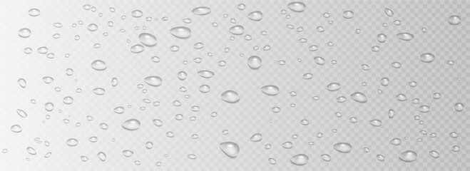 Rain water drops falling on transparent background. Wet, clear surface with bubbles on the surface. Realistic clear water, water drops for creative banner design