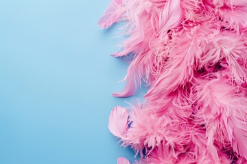 Pink Feather Boa Against Soft blue Background