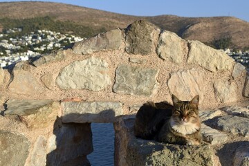 A fragment of ancient antique architecture of the ancient city