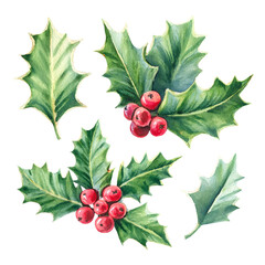 Watercolor holly set on white background, with rich red berries and deep green leaves. Perfect for greeting cards, Christmas decor and seasonal artwork