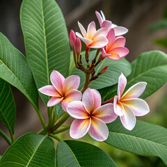 Naklejka premium cute flowers with natural petals and leaves