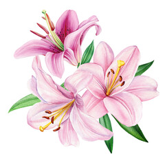 Fototapeta premium beautiful watercolor bouquet of pink lilies with green leaves, delicate botanical flower illustration, isolated design