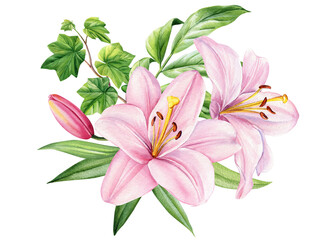 Blooming watercolor flower composition. Pink lilies and green leaves. Elegant floral clipart for invitations, art decor