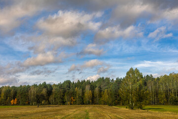 october landscape - autumn sunny day, beautiful trees with colorful leaves, Poland, Europe, Podlasie, white clouds on blue sky