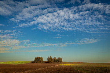 october landscape - autumn sunny day, beautiful trees with colorful leaves on the hill, Poland, Europe, Podlasie, white clouds on blue sky