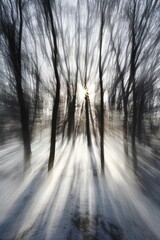 Obraz premium Sunbeams through trees in a snowy forest.