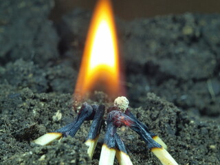 Combustion, fire. A burning match lying on the ground. Danger.