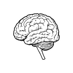 simple brain vector black and white
