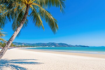 Obraz premium A tropical beach with palm trees leaning over white sand and clear water