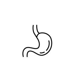 Stomach line icon