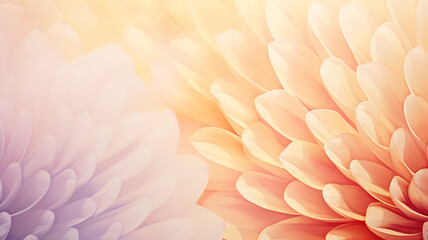 Obraz premium Flower close-up of pastel peach color, background greeting card in watercolor style