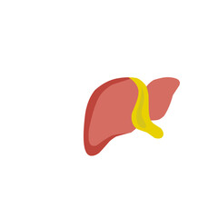 Human liver icon