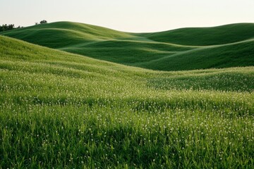 Fototapeta premium Sunset glow casts warm light on green field; use pastel palette 