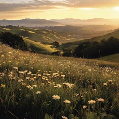 A field of wildflowers, daisies, and grasses bathed in the golden light of sunrise, overlooking a valley with rolling hills in the distance.