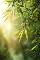 Fototapeta premium A close-up of bamboo leaves and stalks, with sunlight filtering through the greenery, creating an atmosphere of tranquility and nature's beauty. 