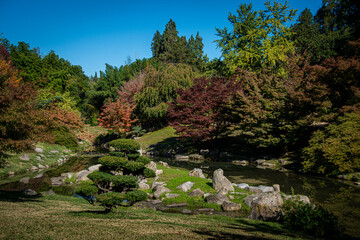 beautiful Japanese style zen garden ,in autumn ,with pond and rocks ,gardening and landscaping ,hobbies and interests