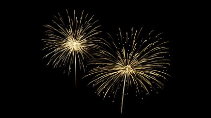 Two Golden Fireworks Exploding Against a Black Night Sky