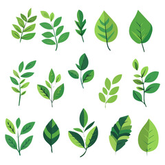Simple flat 2D icon peppermint leaves set isolated on transparent background, vector, flat design, animation design, vector, flat design, animation design, simple flat 2D icon, clipart, mint