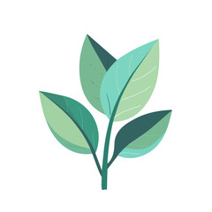 Simple flat 2D icon peppermint leaves set isolated on transparent background, vector, flat design, animation design, vector, flat design, animation design, simple flat 2D icon, clipart, mint
